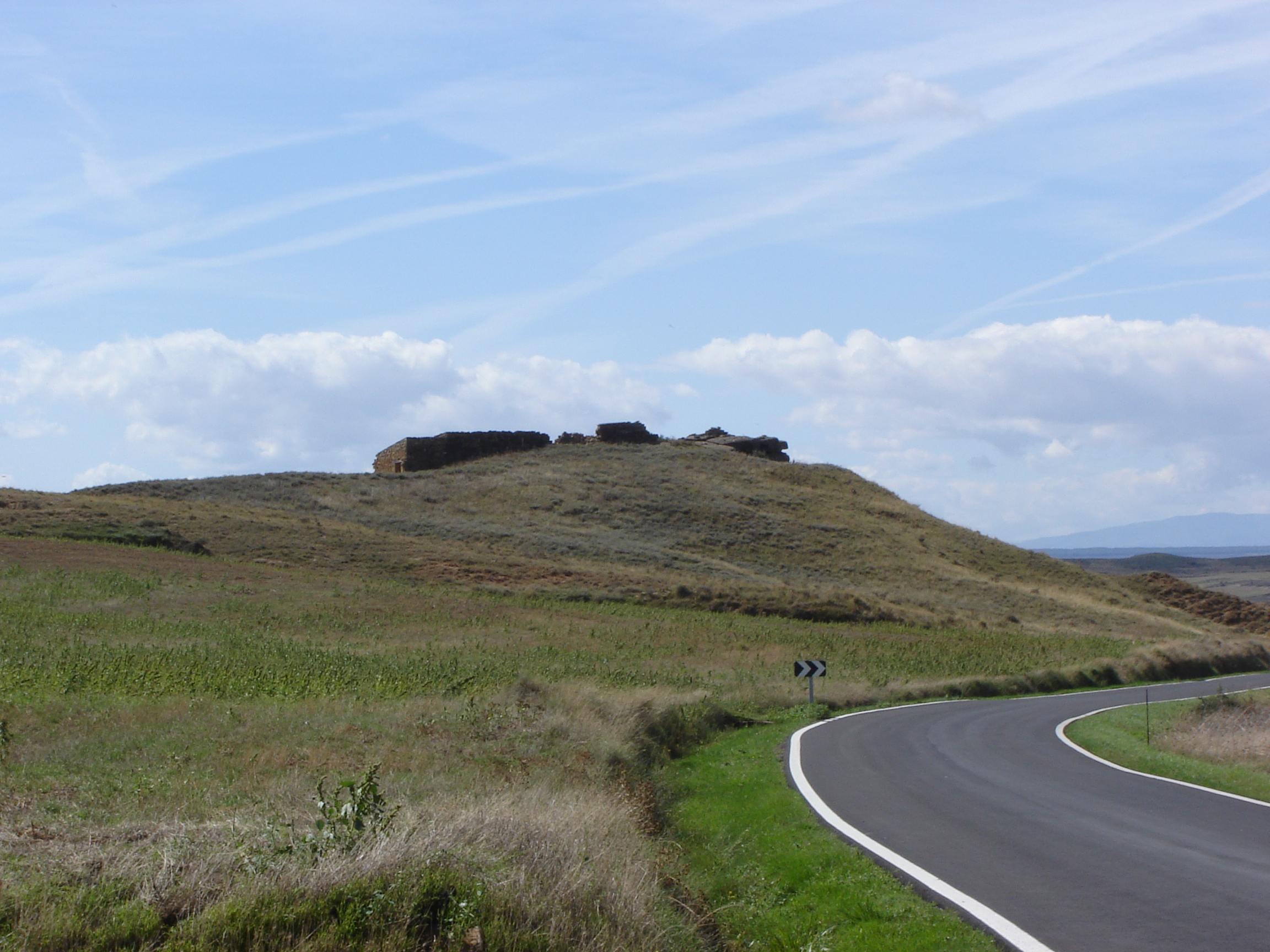 Ruinas del corral del Mauro, sobre la carretera de Marcilla. (JAV)