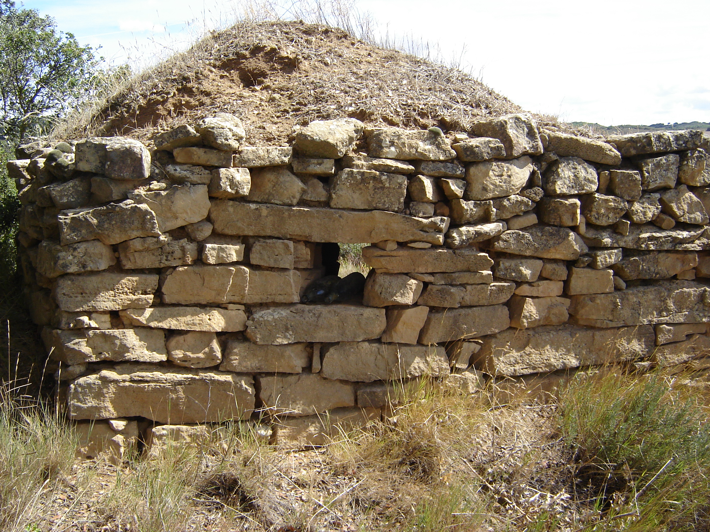Trasera de la cabaña, con una pequeña ventana también. (JAV)