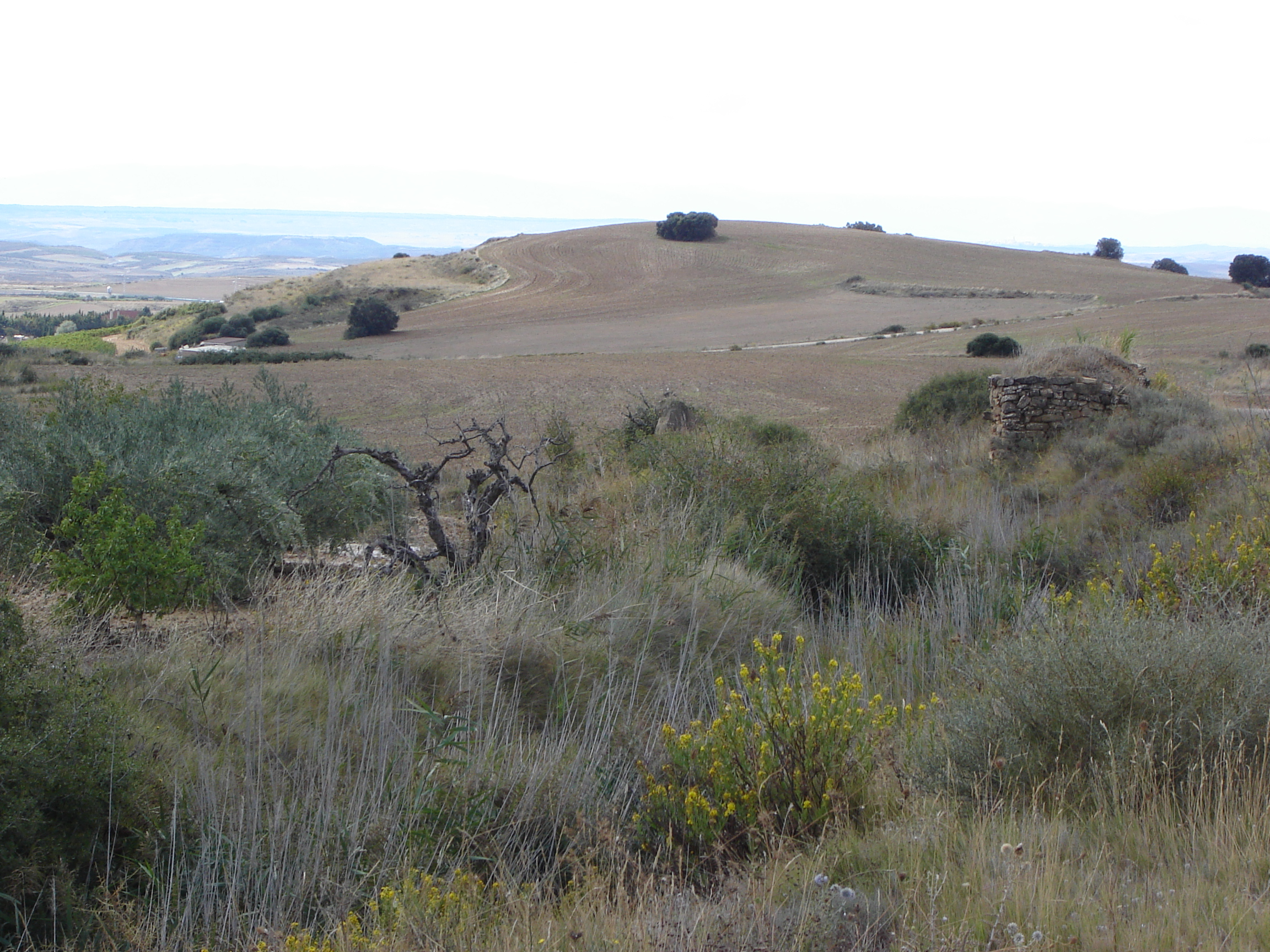Paisaje con una pequeña cabaña, a la derecha, cercana a la anterior. (JAV)