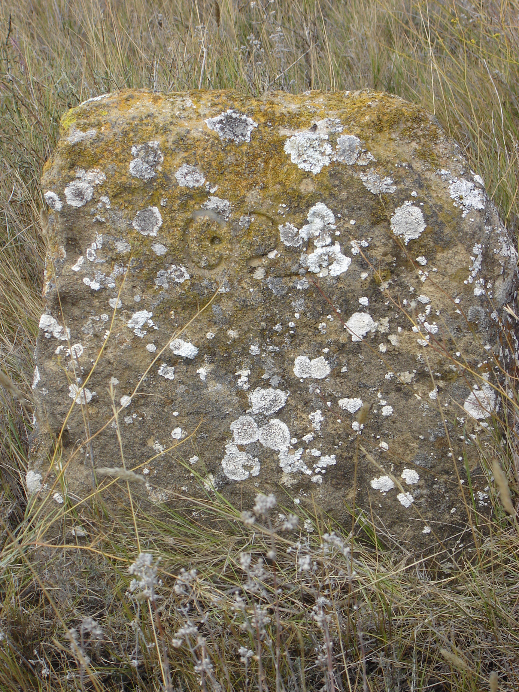 Paraje de Saratseta. Mojón que señala la Cañada que pasa por el lugar. (JAV)