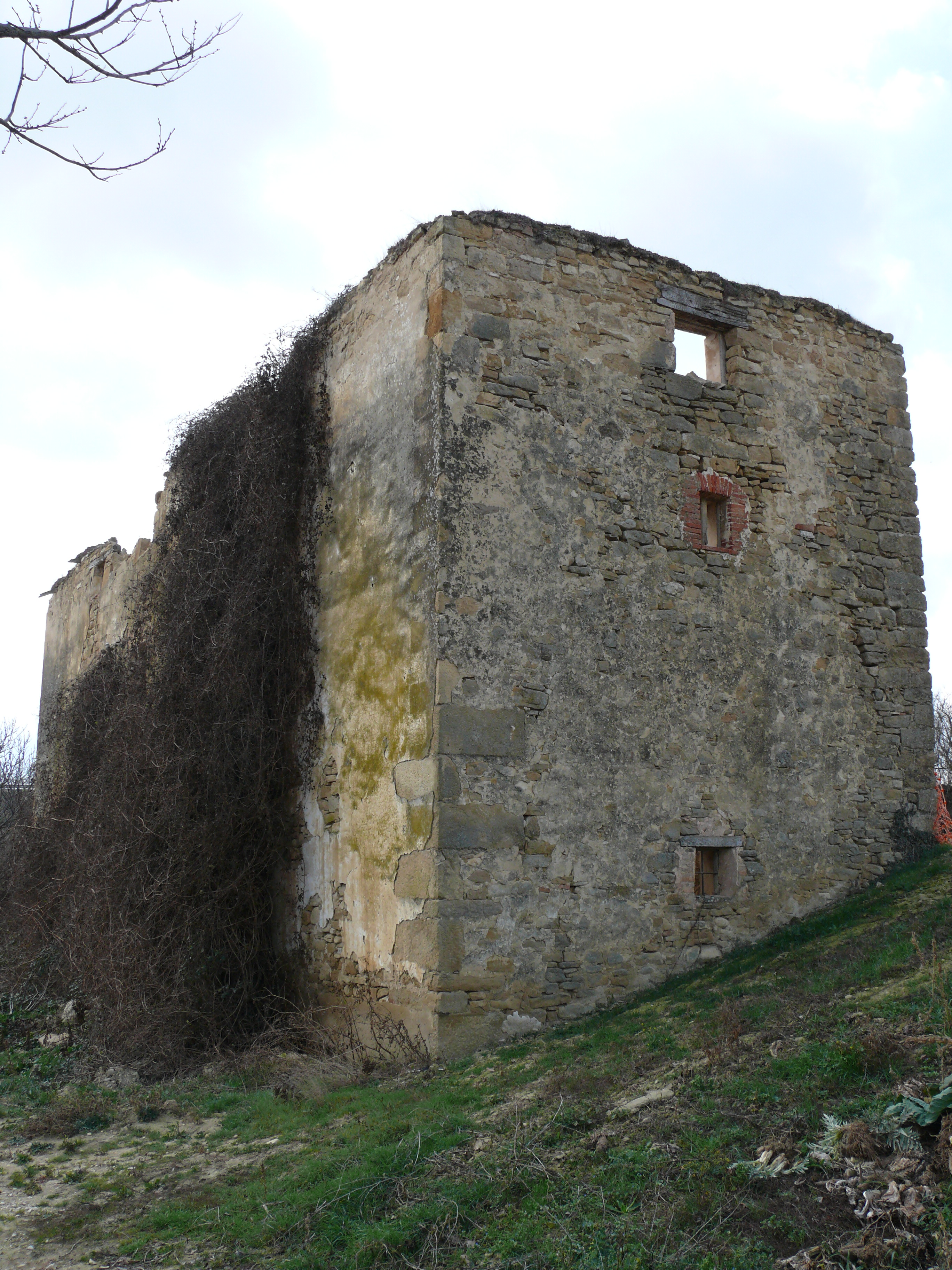 Trasera del molino. (JAV)