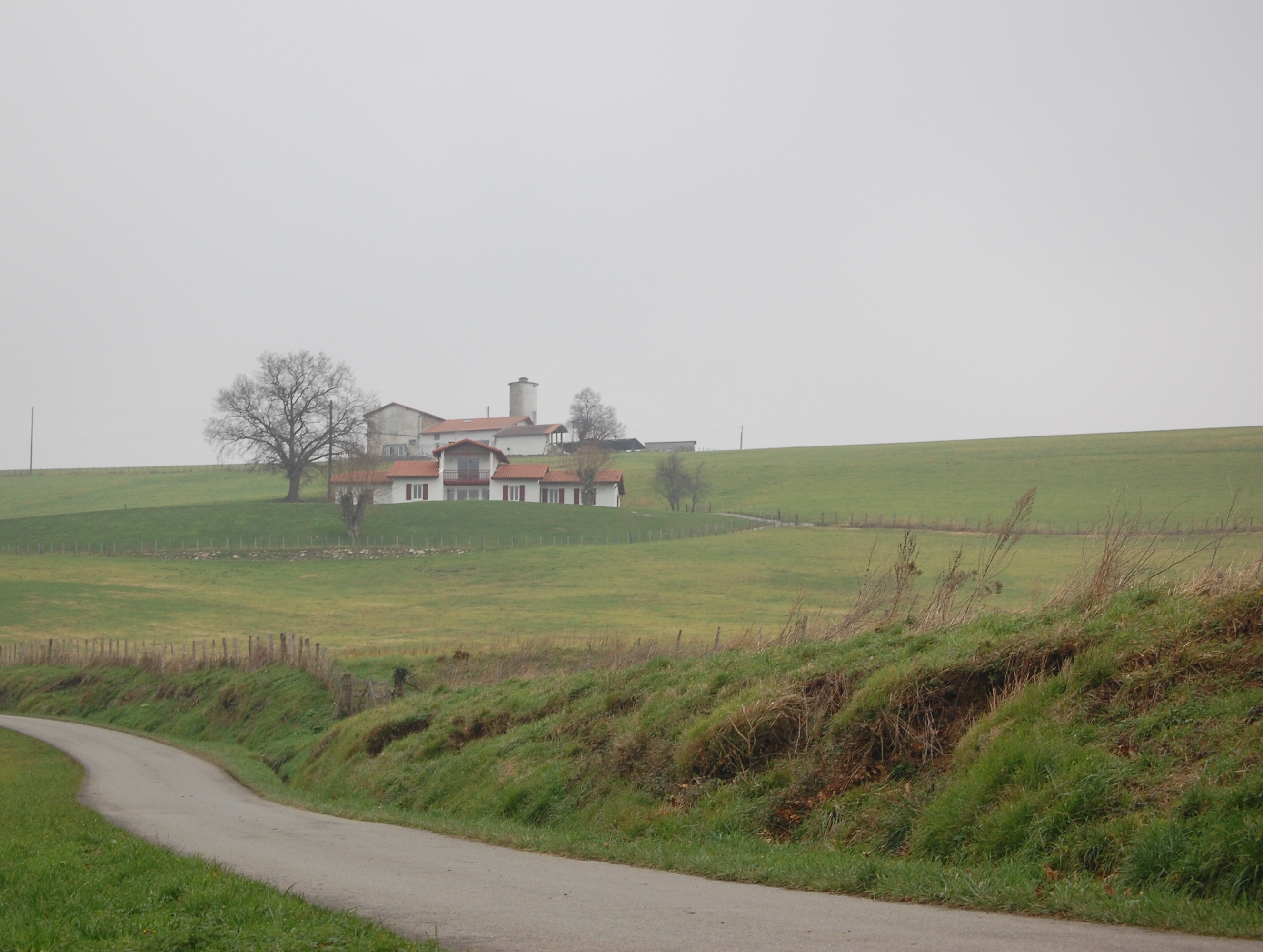 Inmediaciones del barrio Basabarne