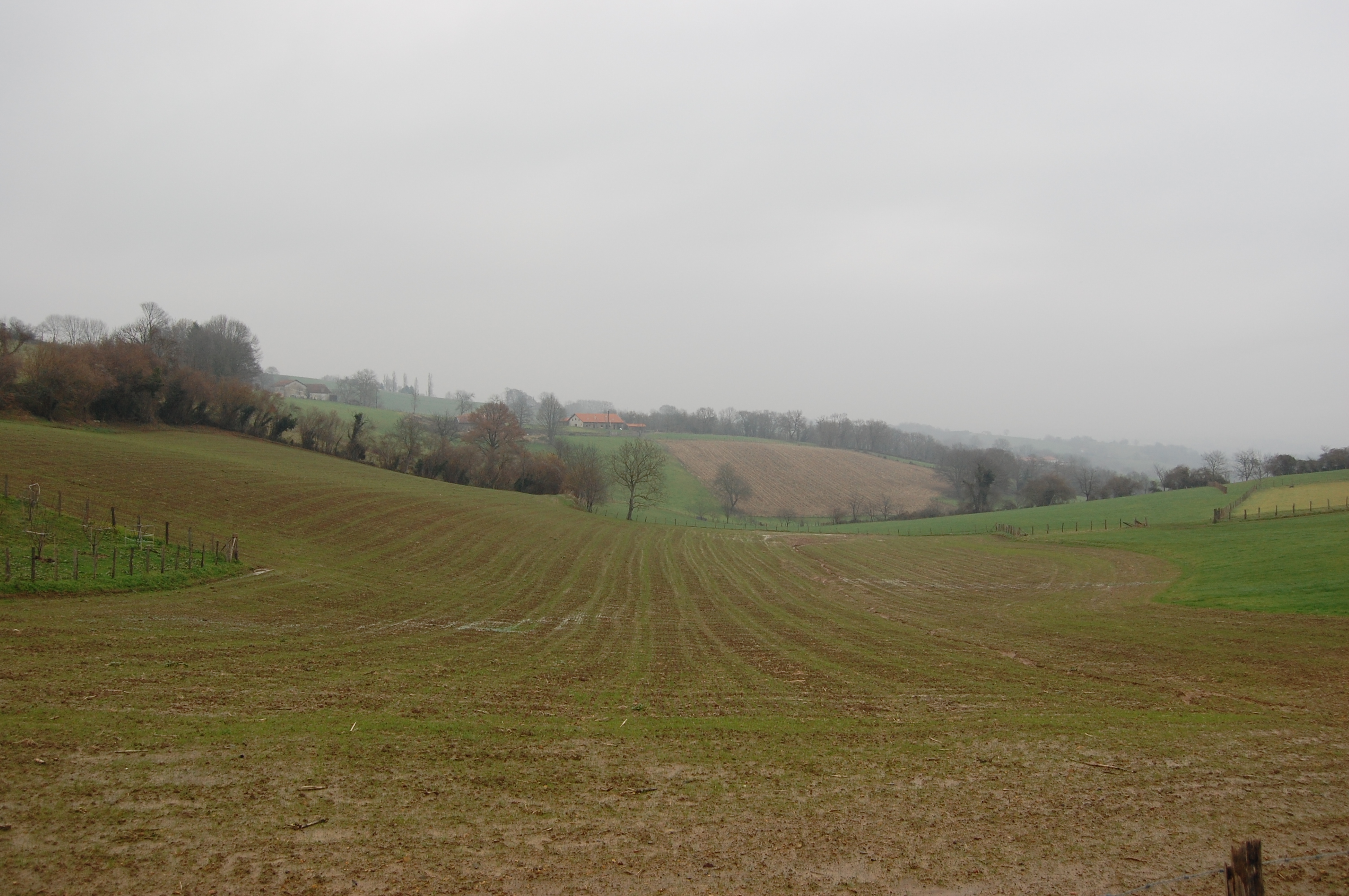 Campos de los alrededores