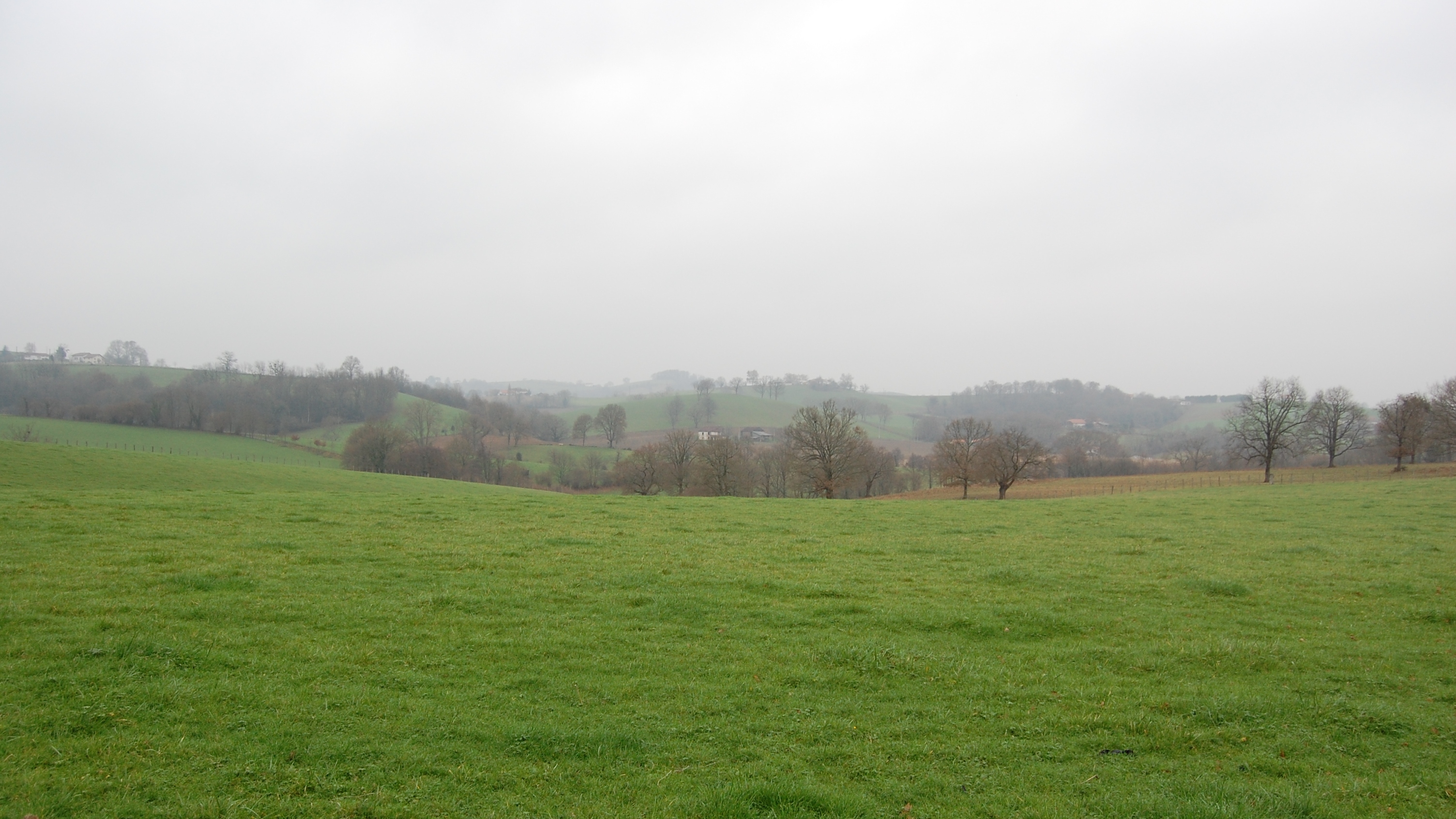 Paisaje de los alrededores