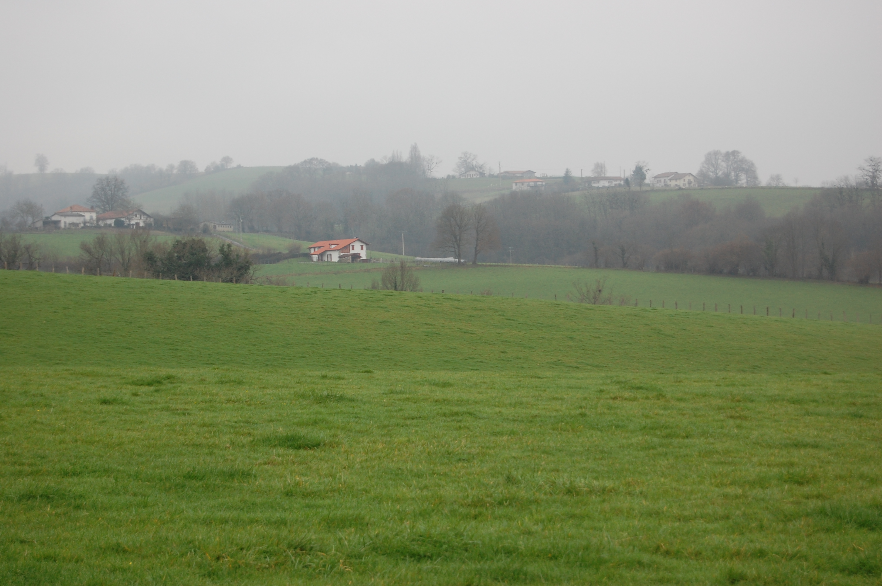 Paisaje de los alrededores