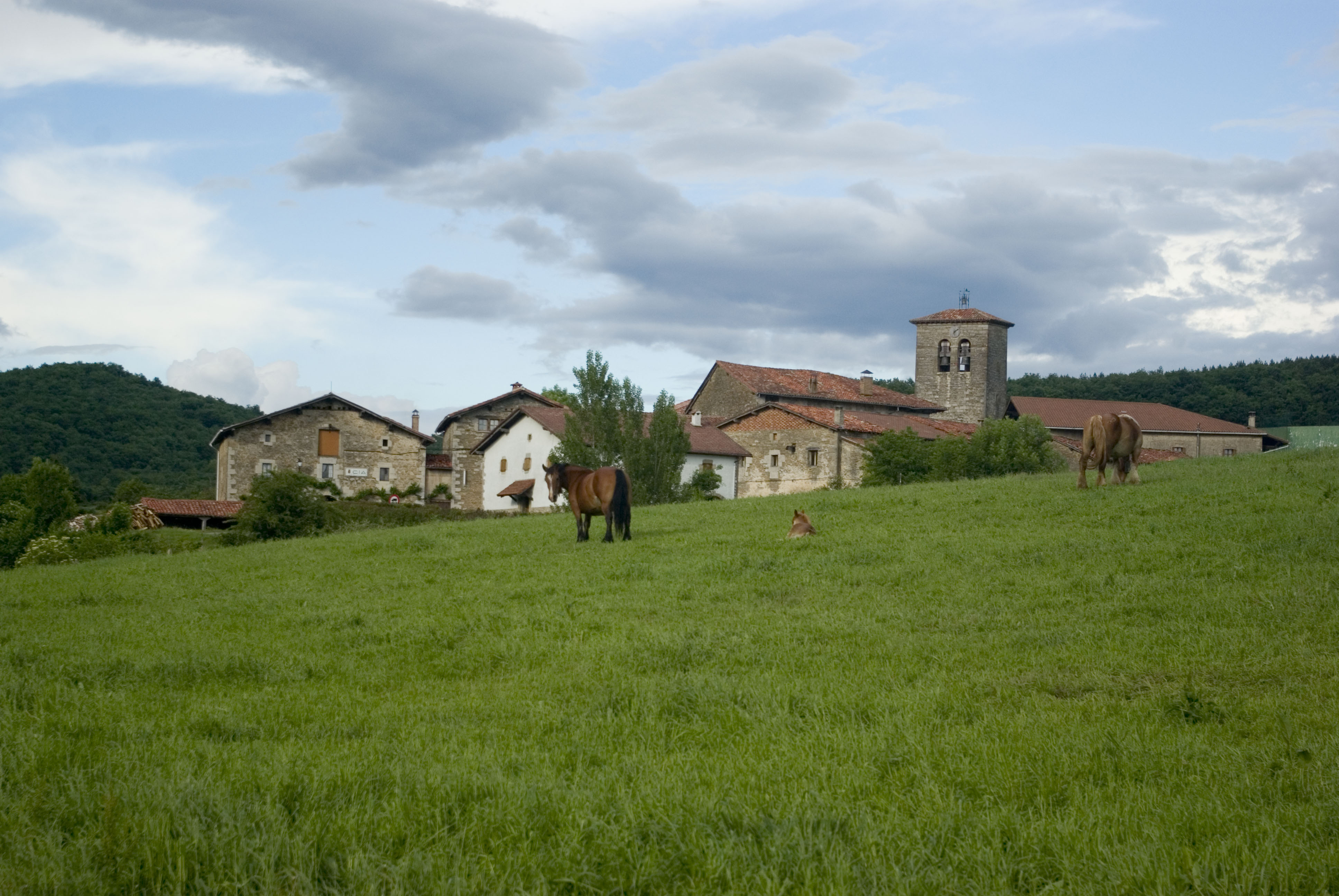 Iglesia de Cia.Iñako Redin.