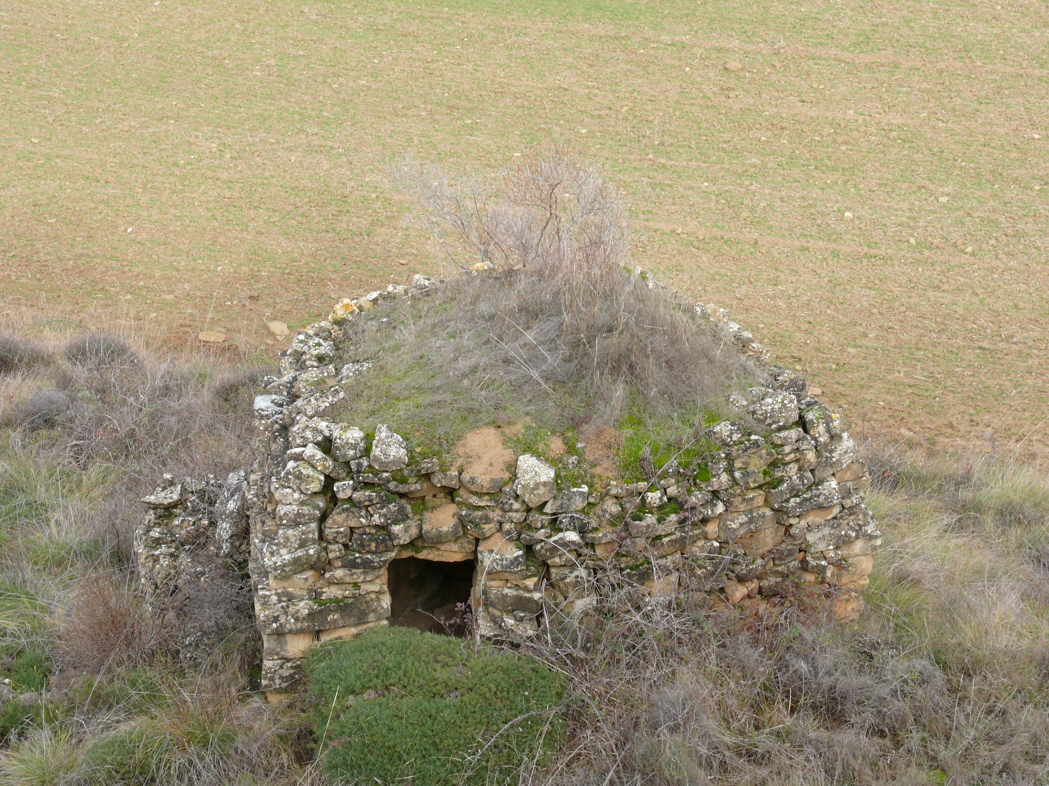 Cubierta lisa de la cabaña, que delata su perímetro irregular. (JAV)