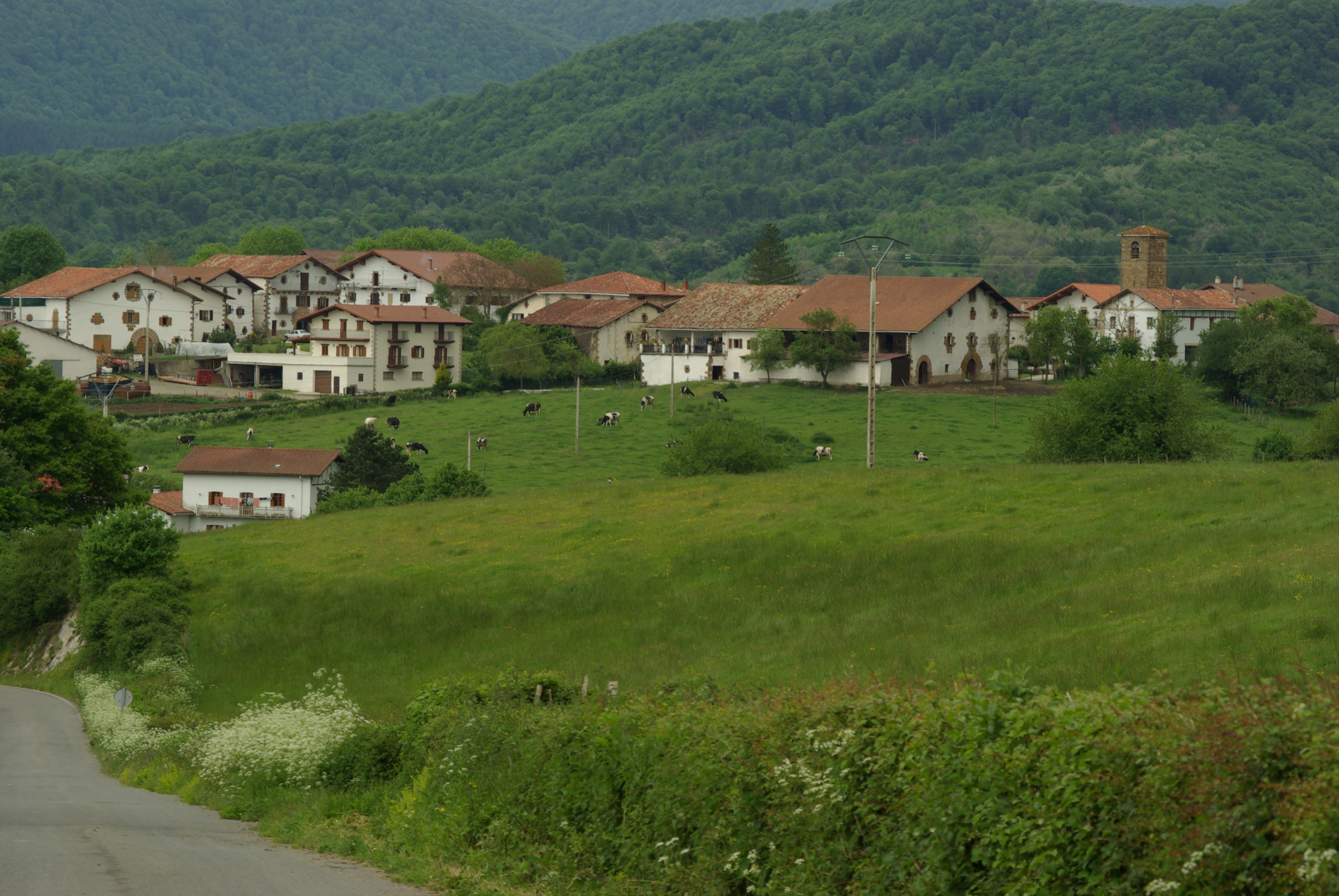 Vista de IlarregiIñako Redin