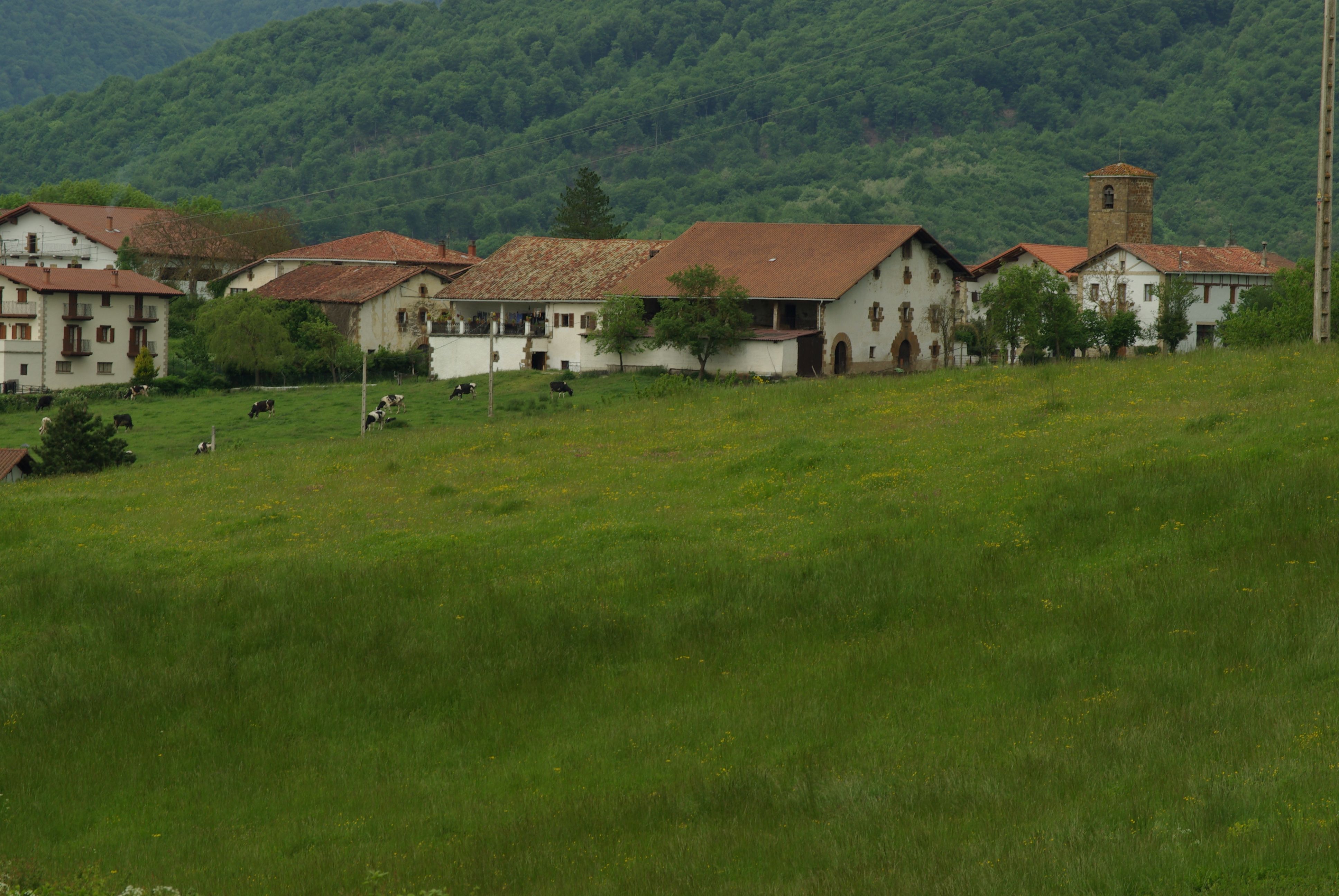 Vista de IlarregiIñako Redin