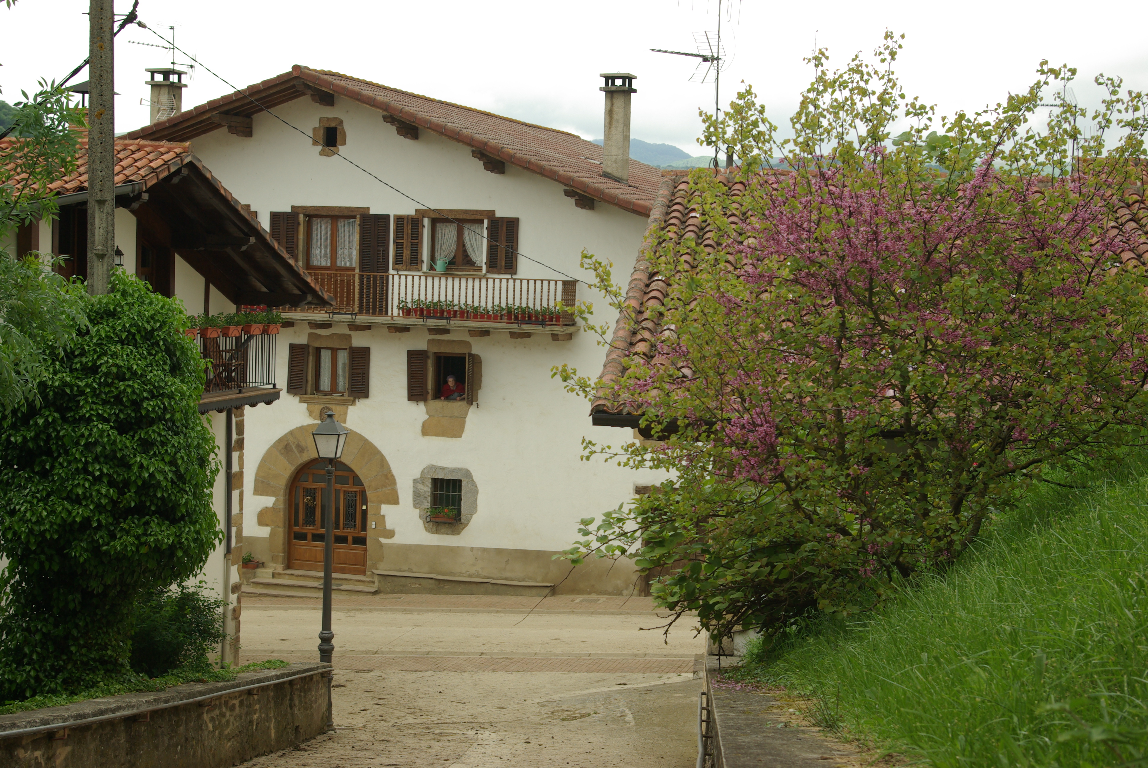 Calles y casas de Iraizotz
Iñako Redin