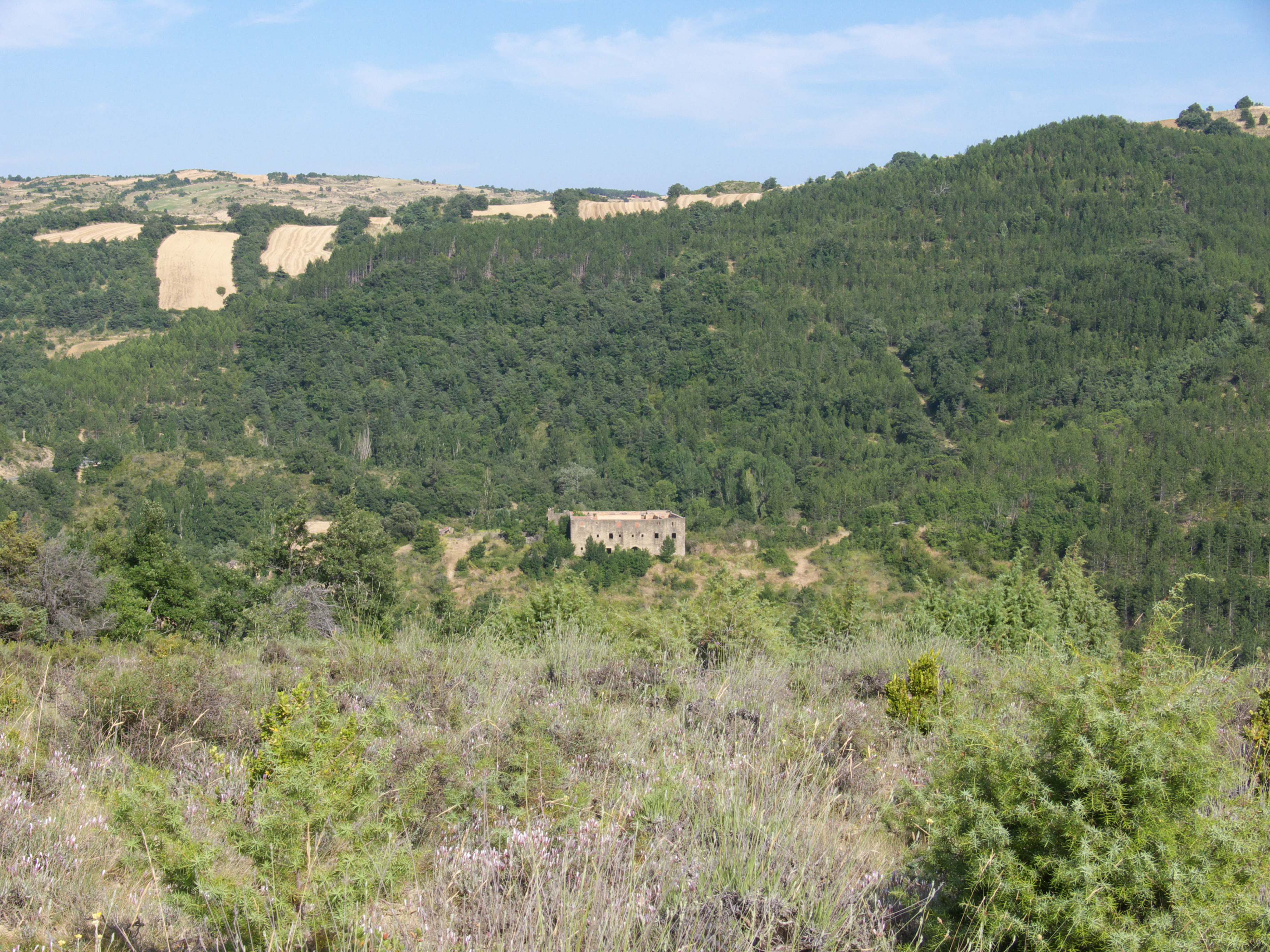 Vista del Señorío de Iriberri. (Imagen JAV)