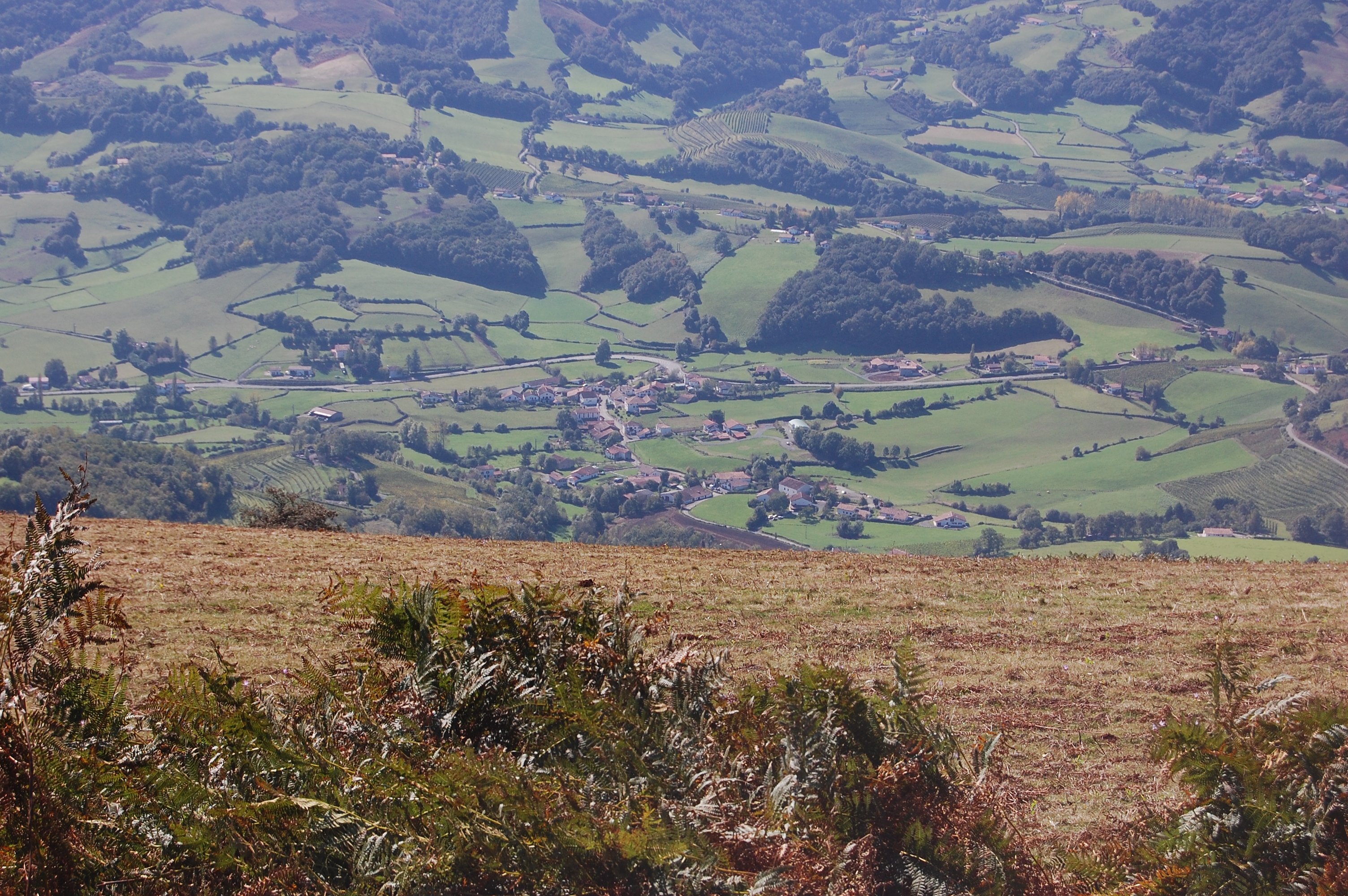 Vista general desde el Jara