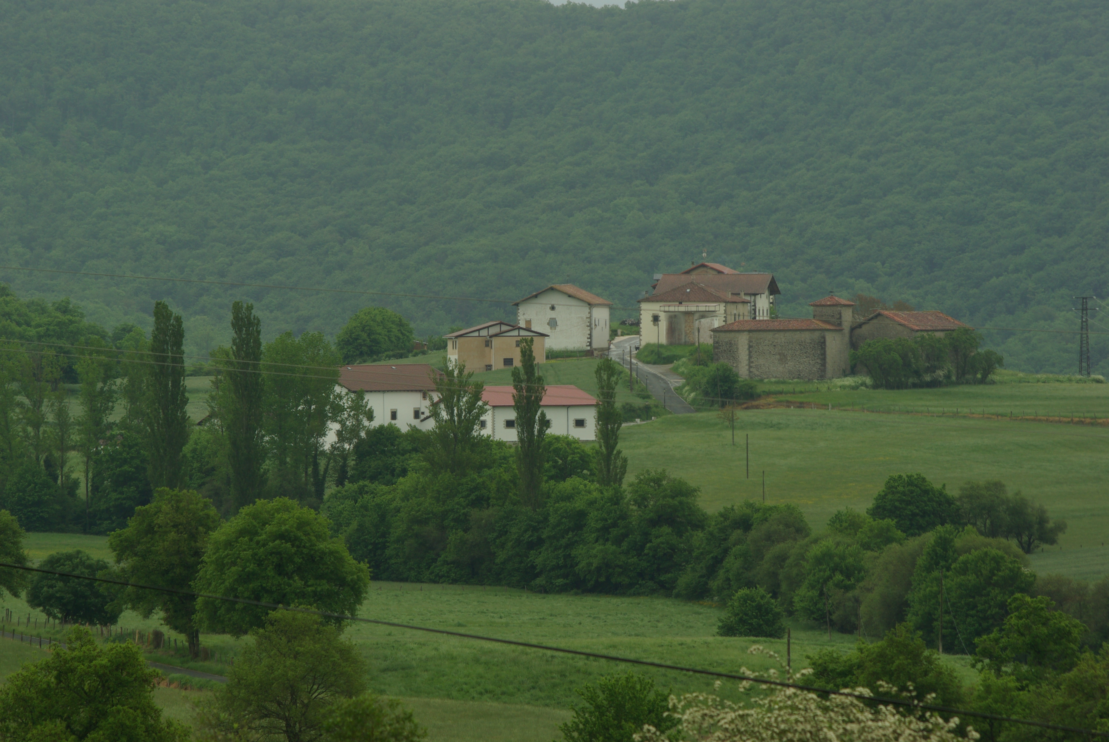 Vista de LeazkueIñako Redin