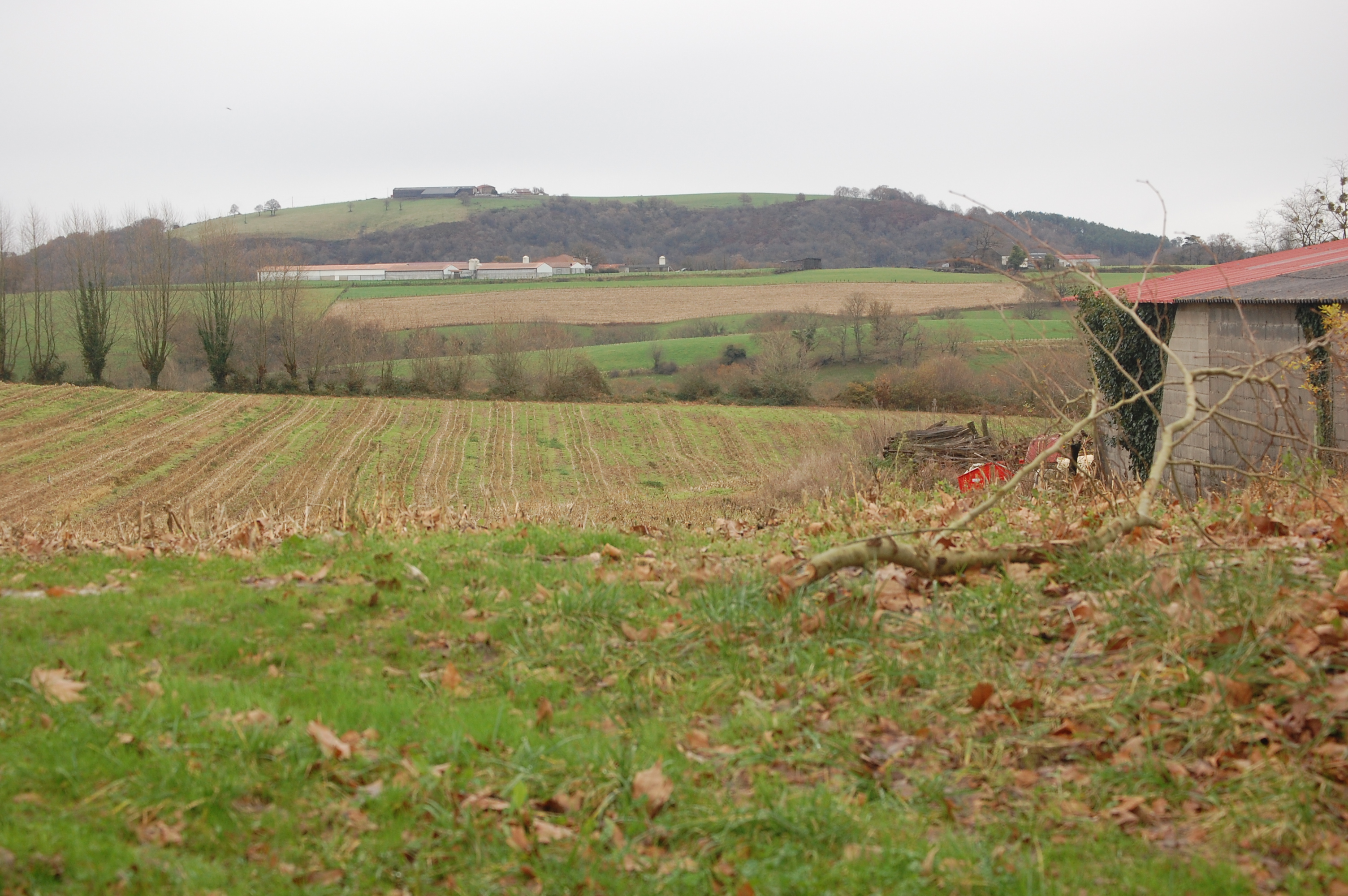 Paisaje de los alrededores