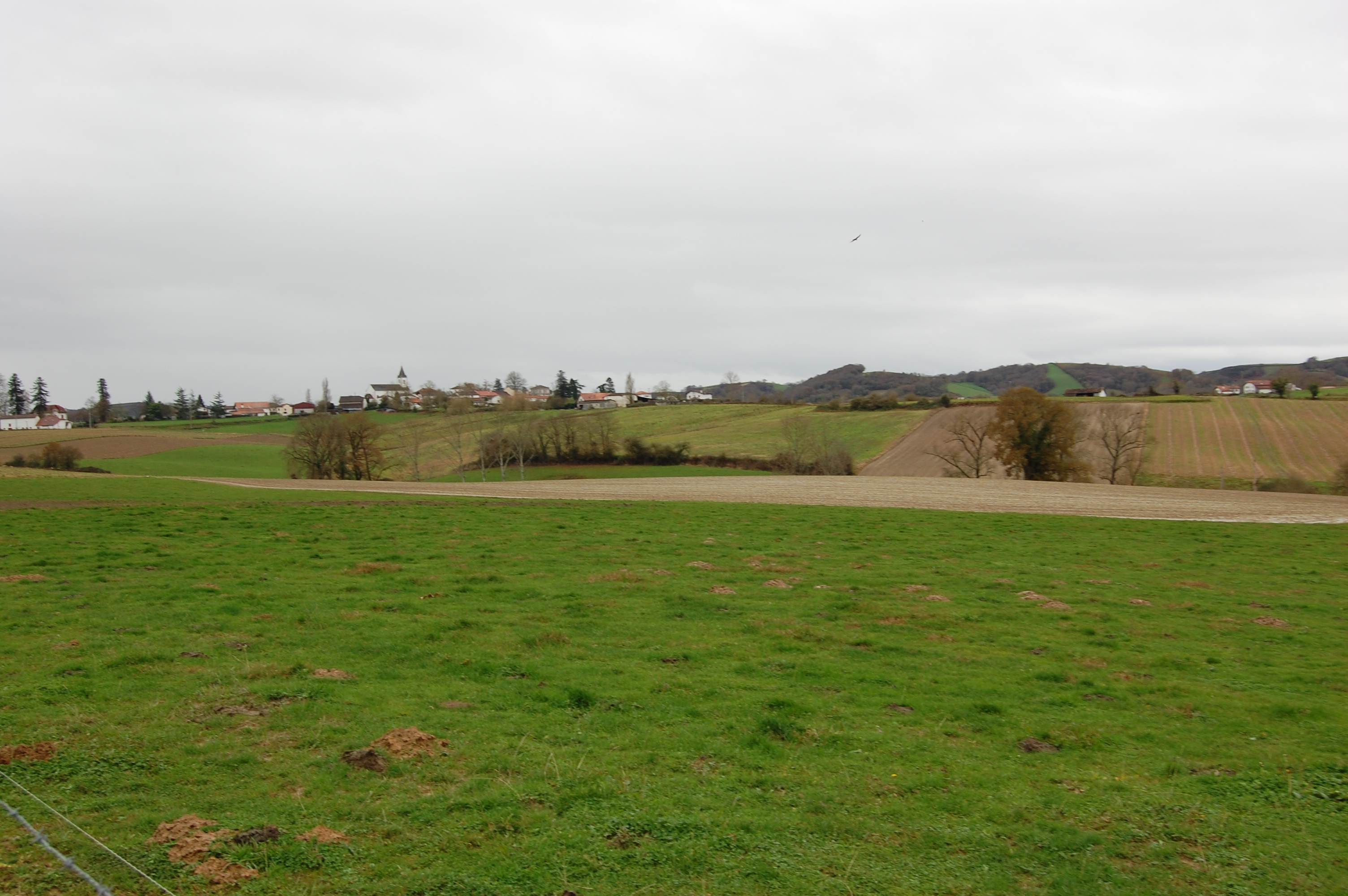 Vista de los alrededores