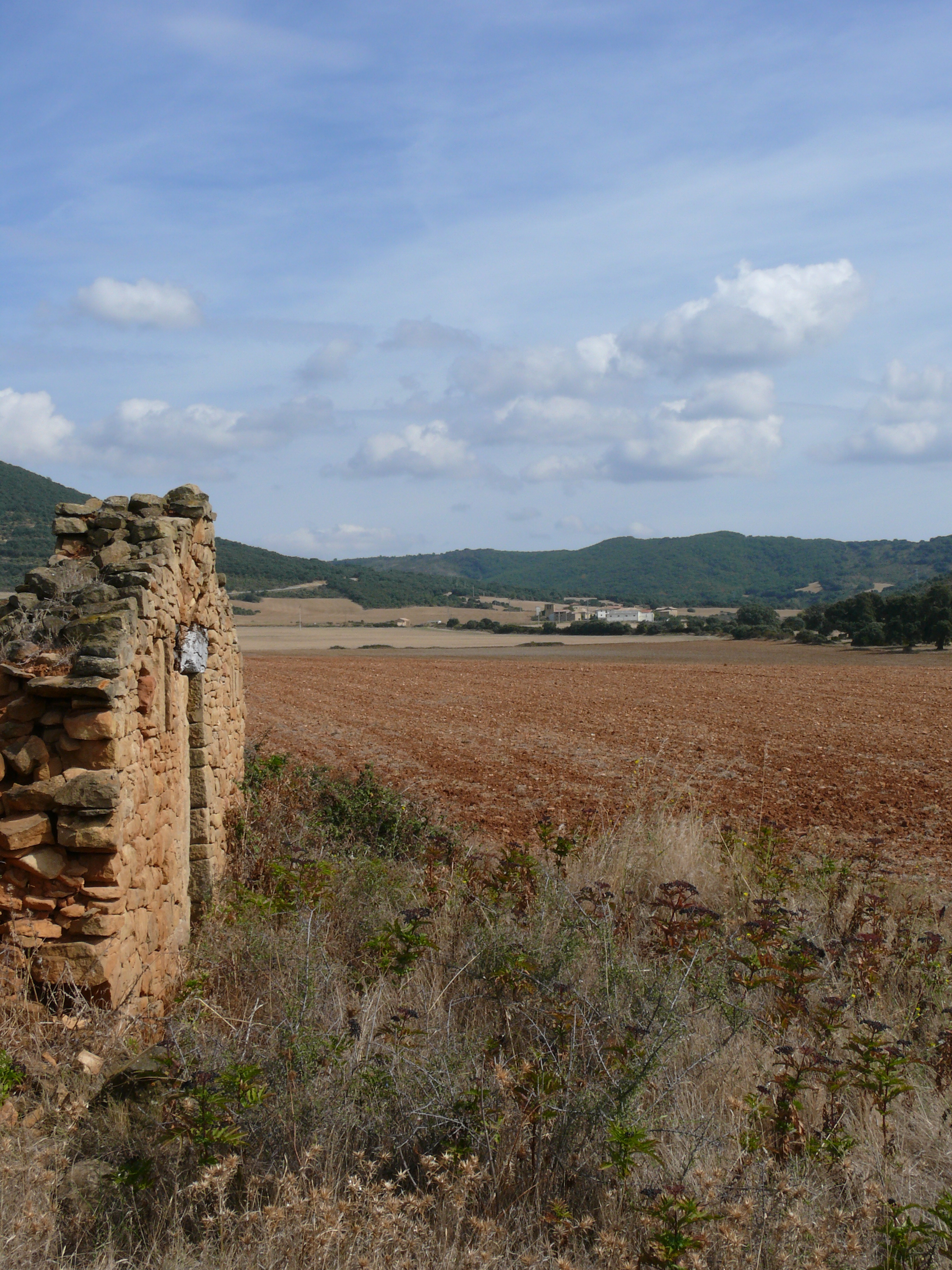 Oricin, al fondo, desde la Borda de Lisasa.