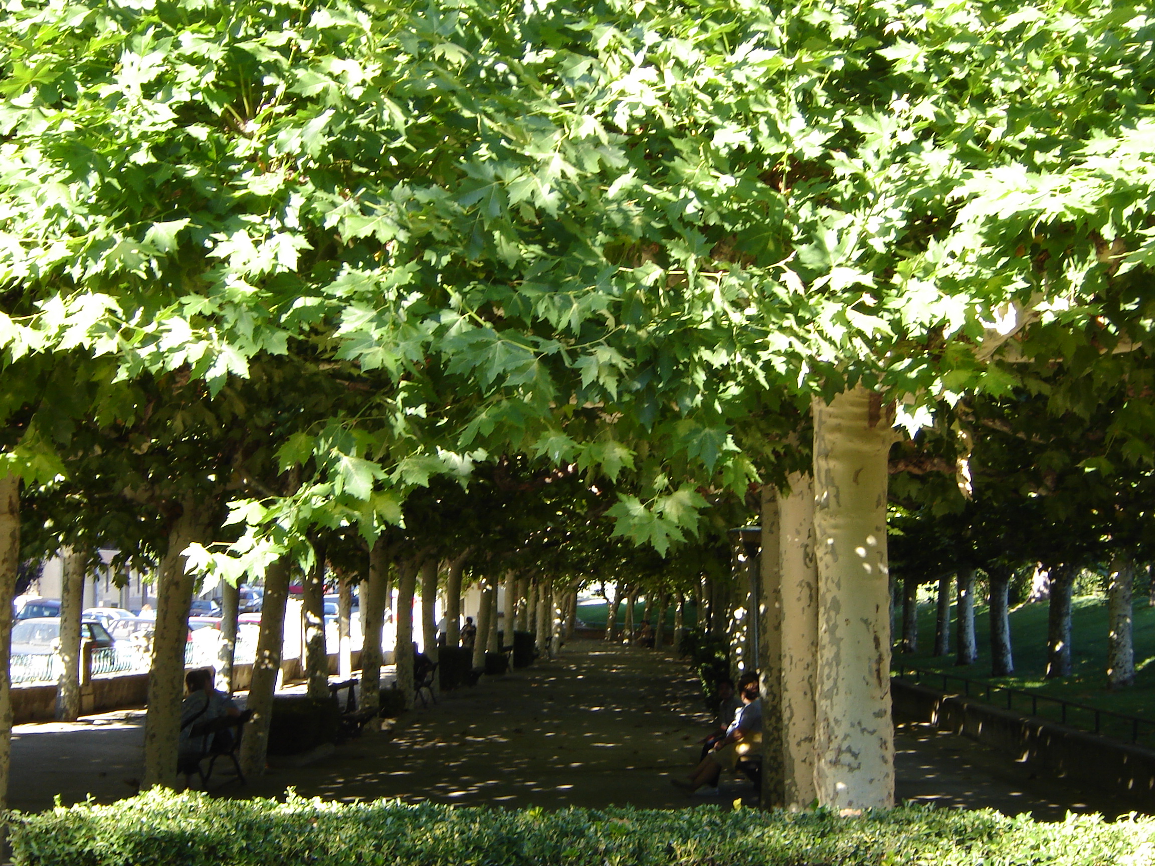 Otra vista de Peralta. (JAV)