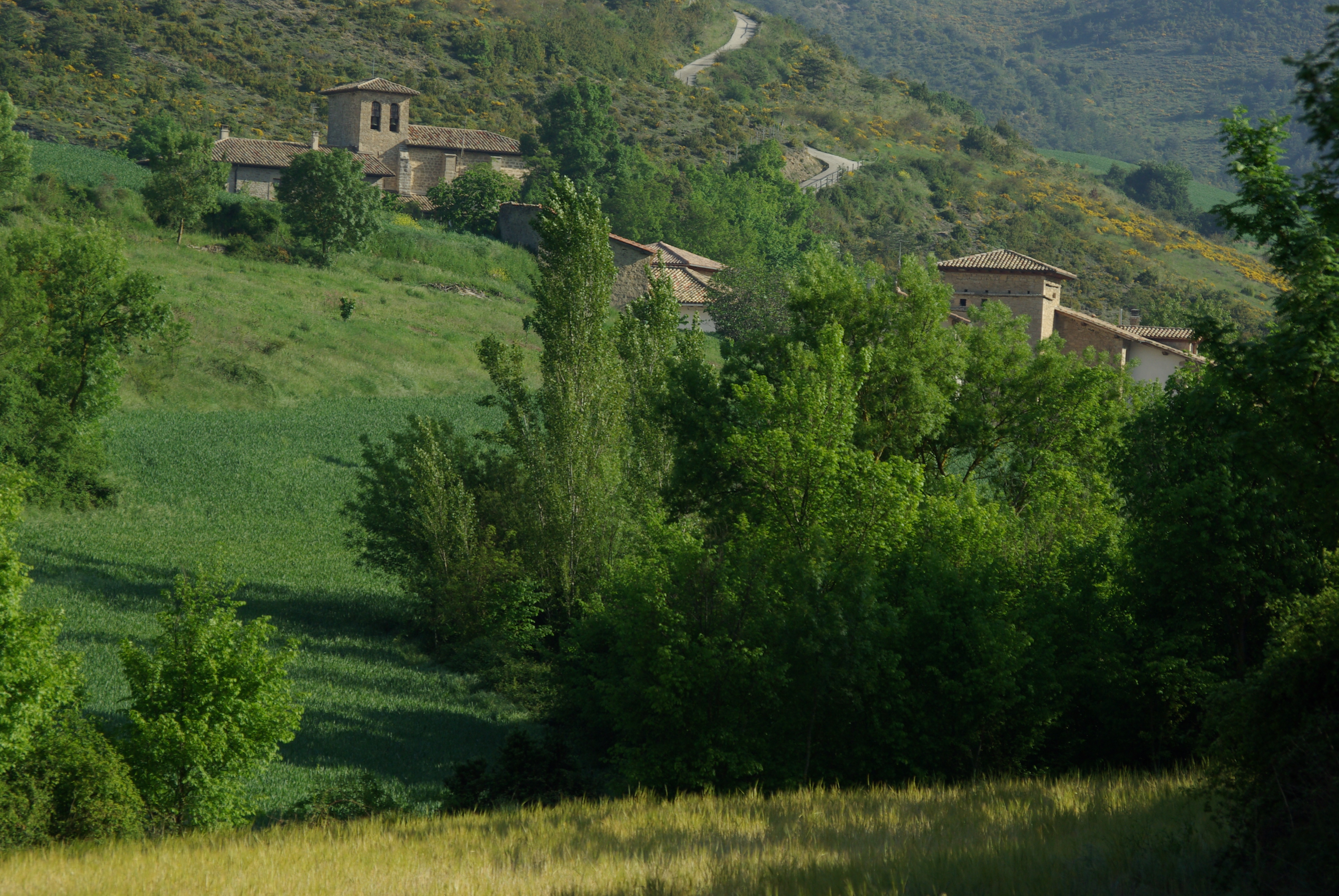 Vista de Sagaseta
Iñako Redin