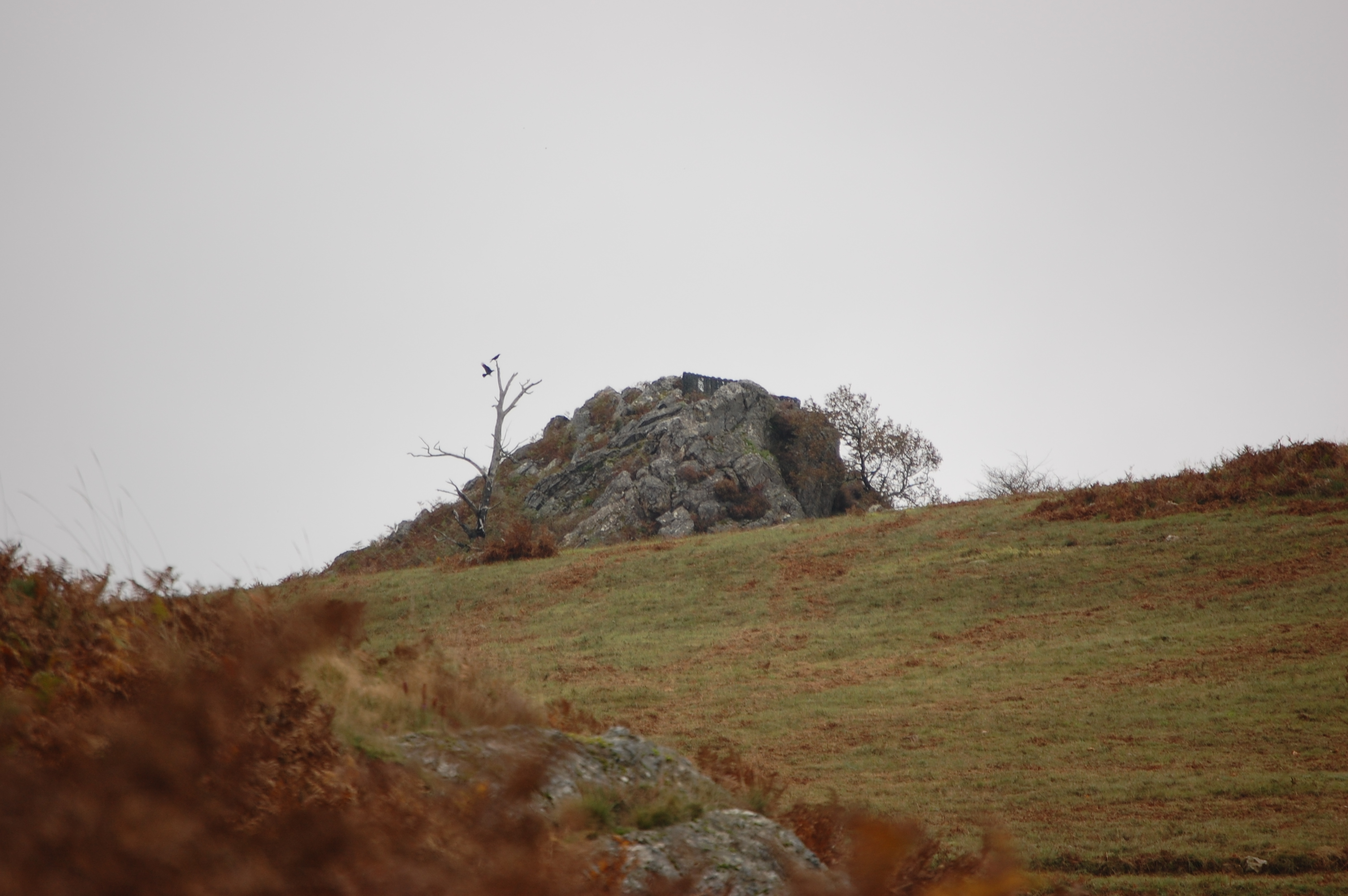 Vista de los alrededores