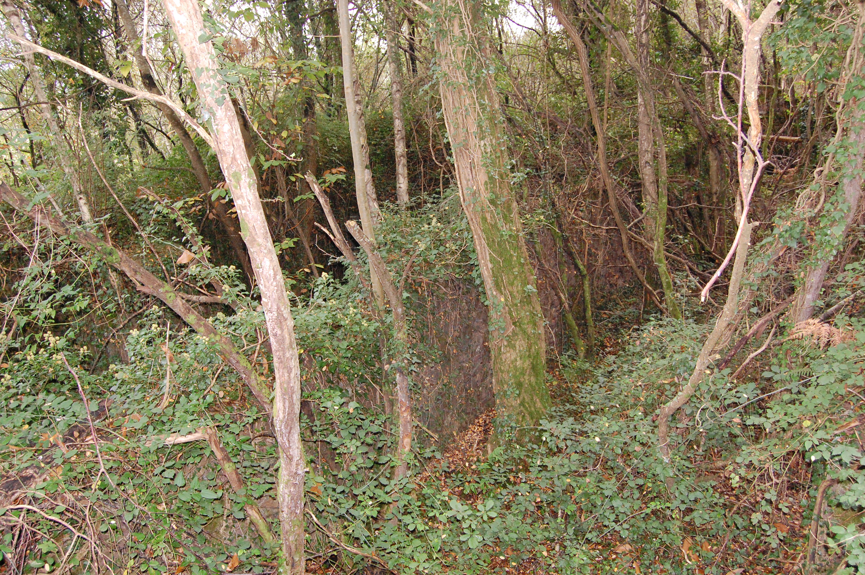 Horno de la explotación del mineral