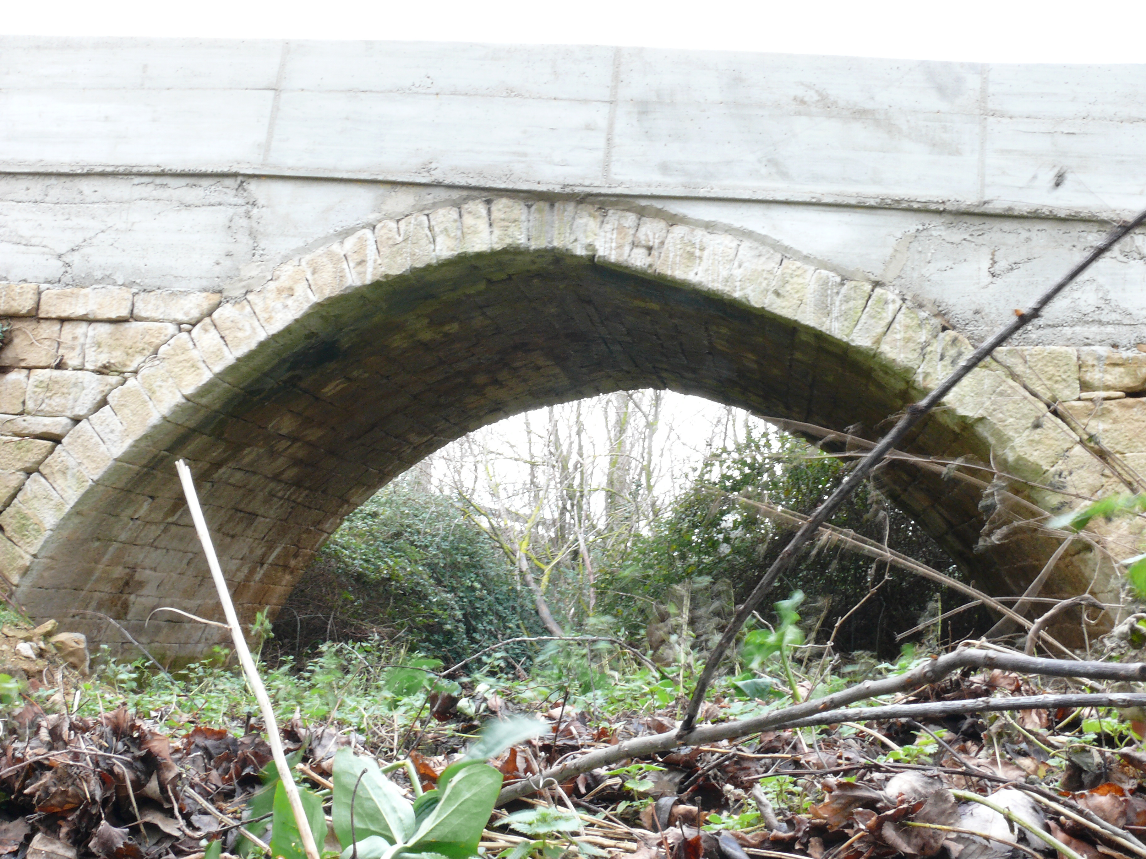 Vista del ojo del puente. (JAV)