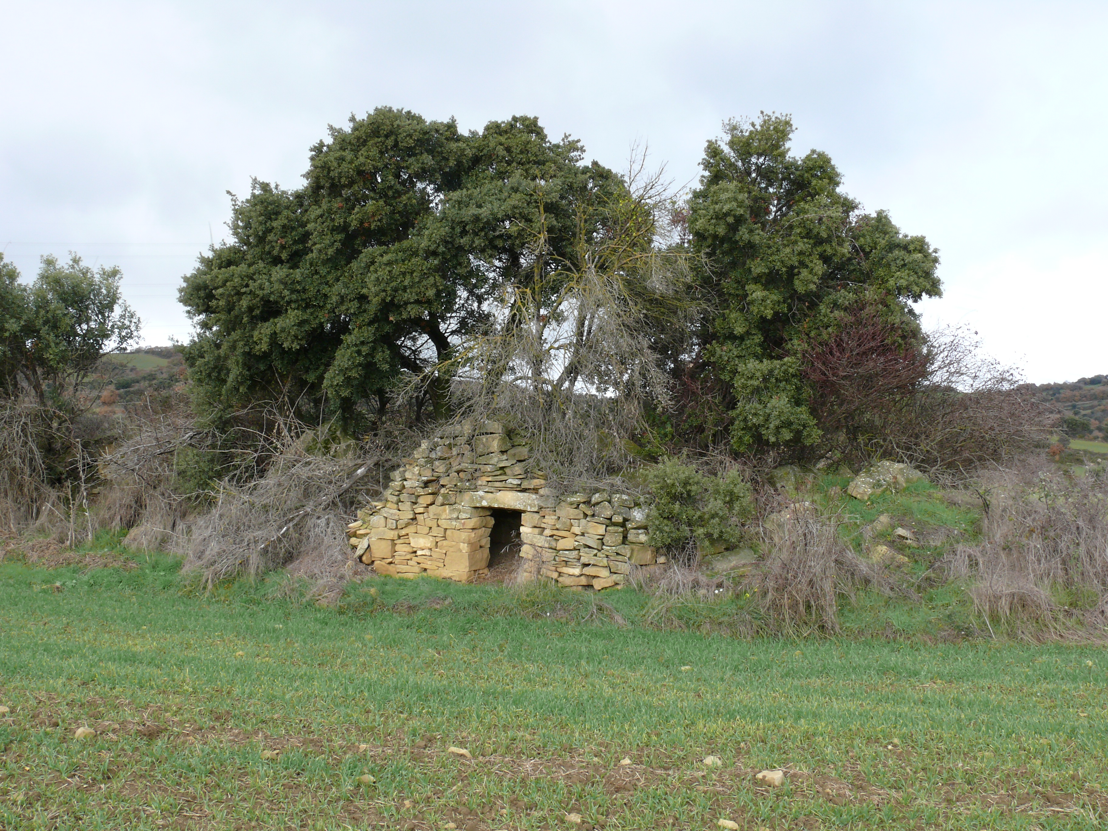 Cabaña en el término de El Prado. (JAV)
