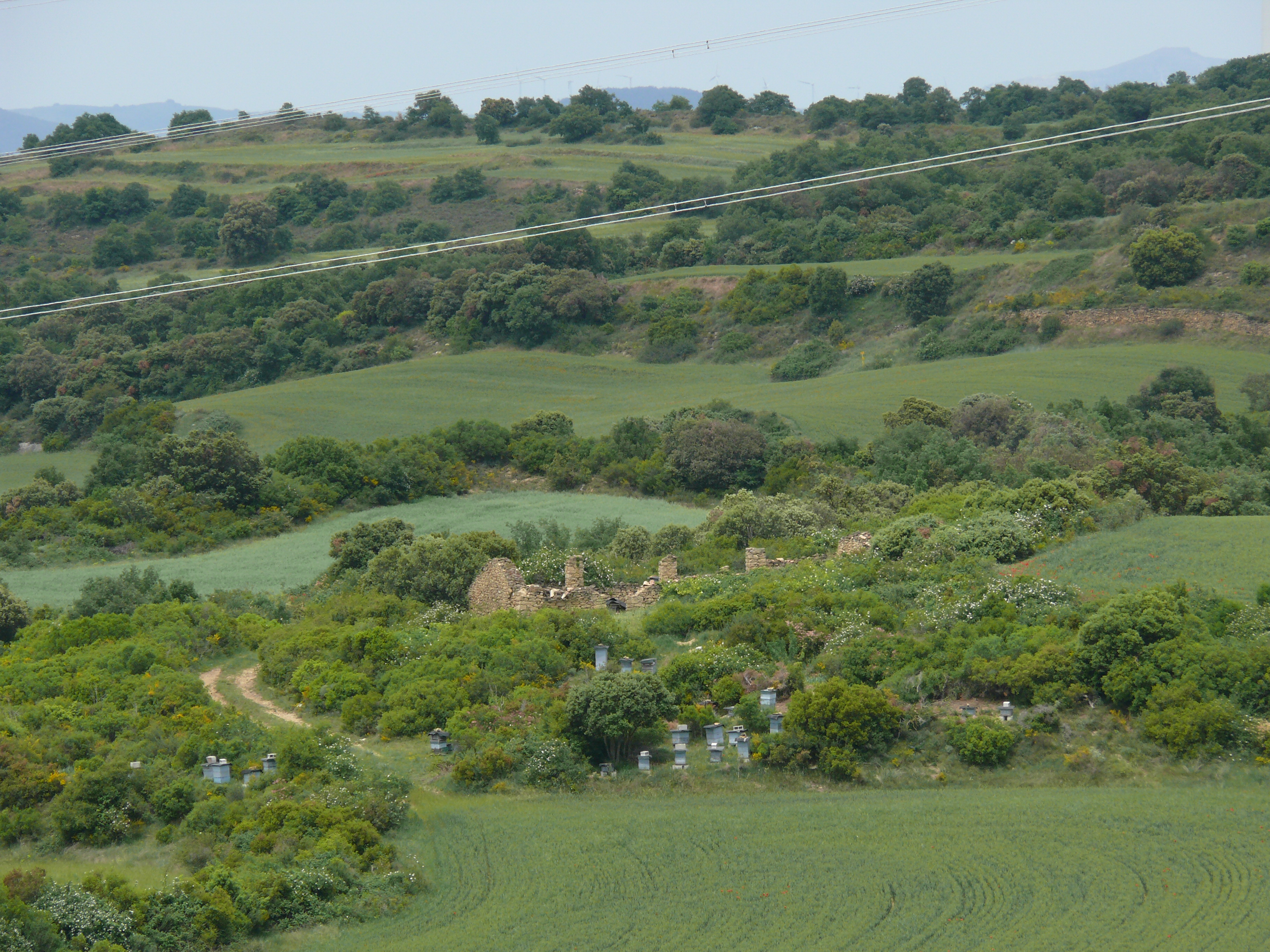Restos de la borda de Egibela, en el término del mismo nombre. (JAV)