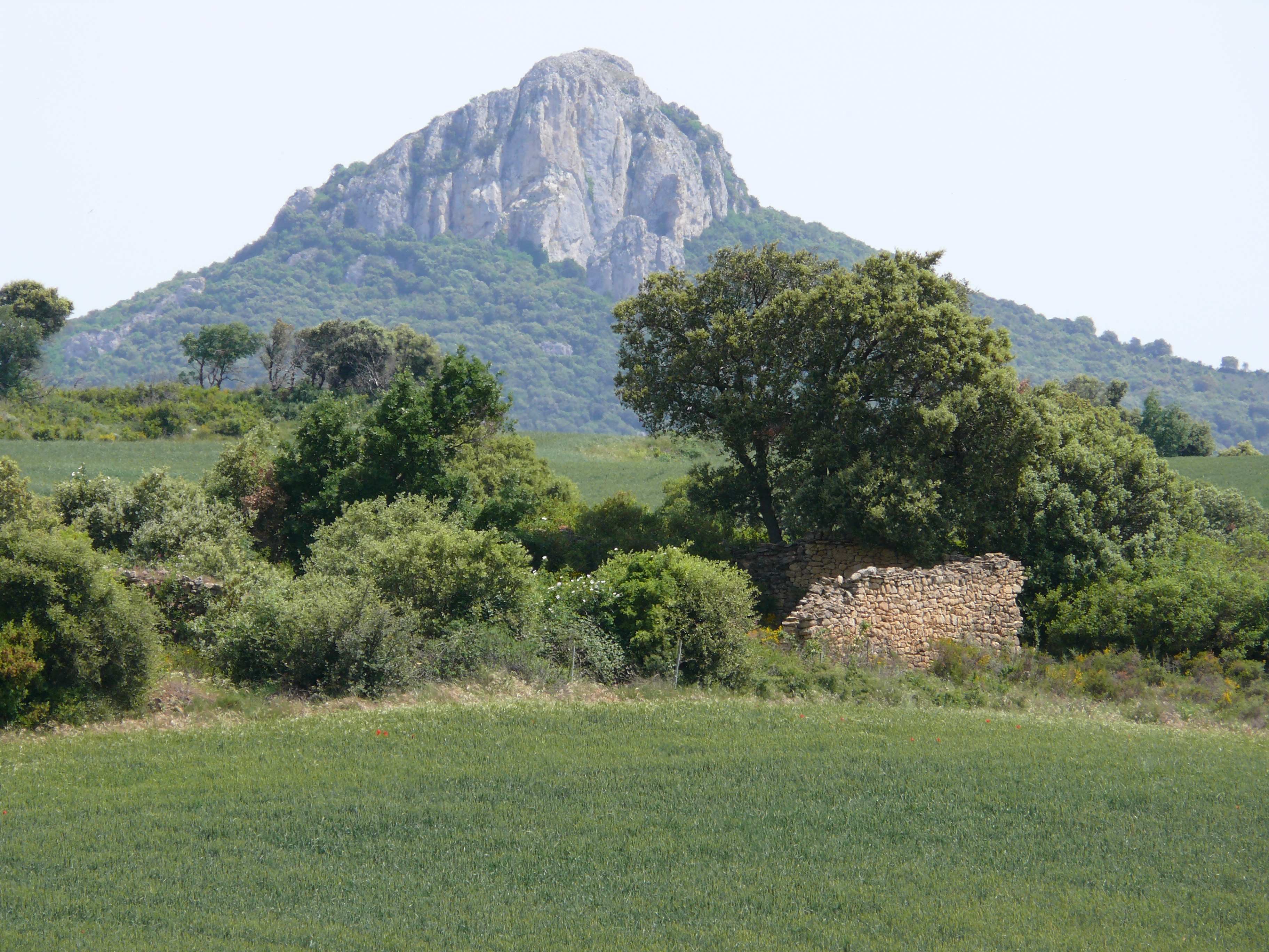 Ruinas de la Borda de Sixto, en la misma muga de Unzué con Mendívil. (JAV)