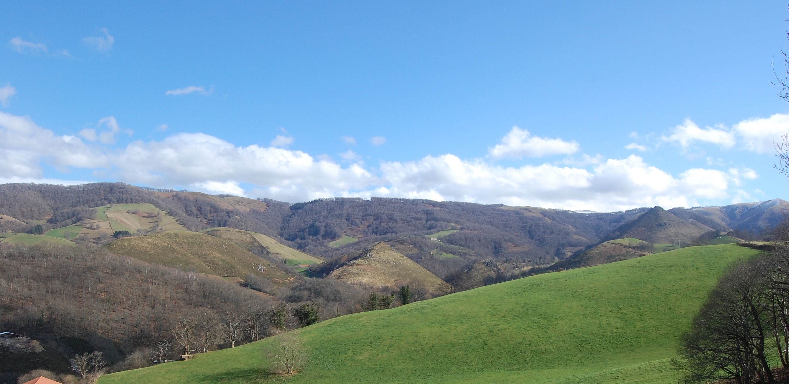 Vista de los alrededores