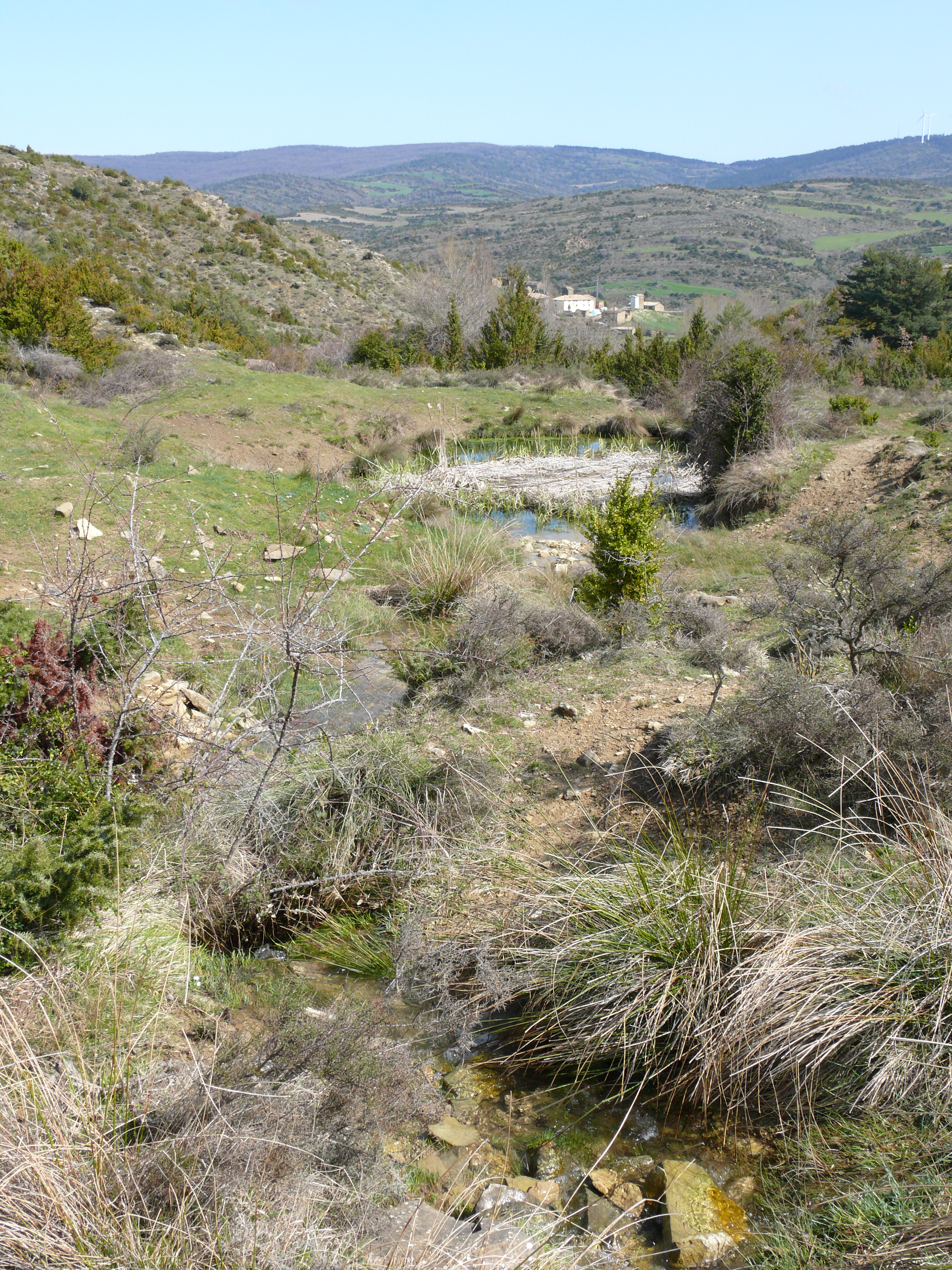 Fuente de Usabal. (Imagen JAV)
