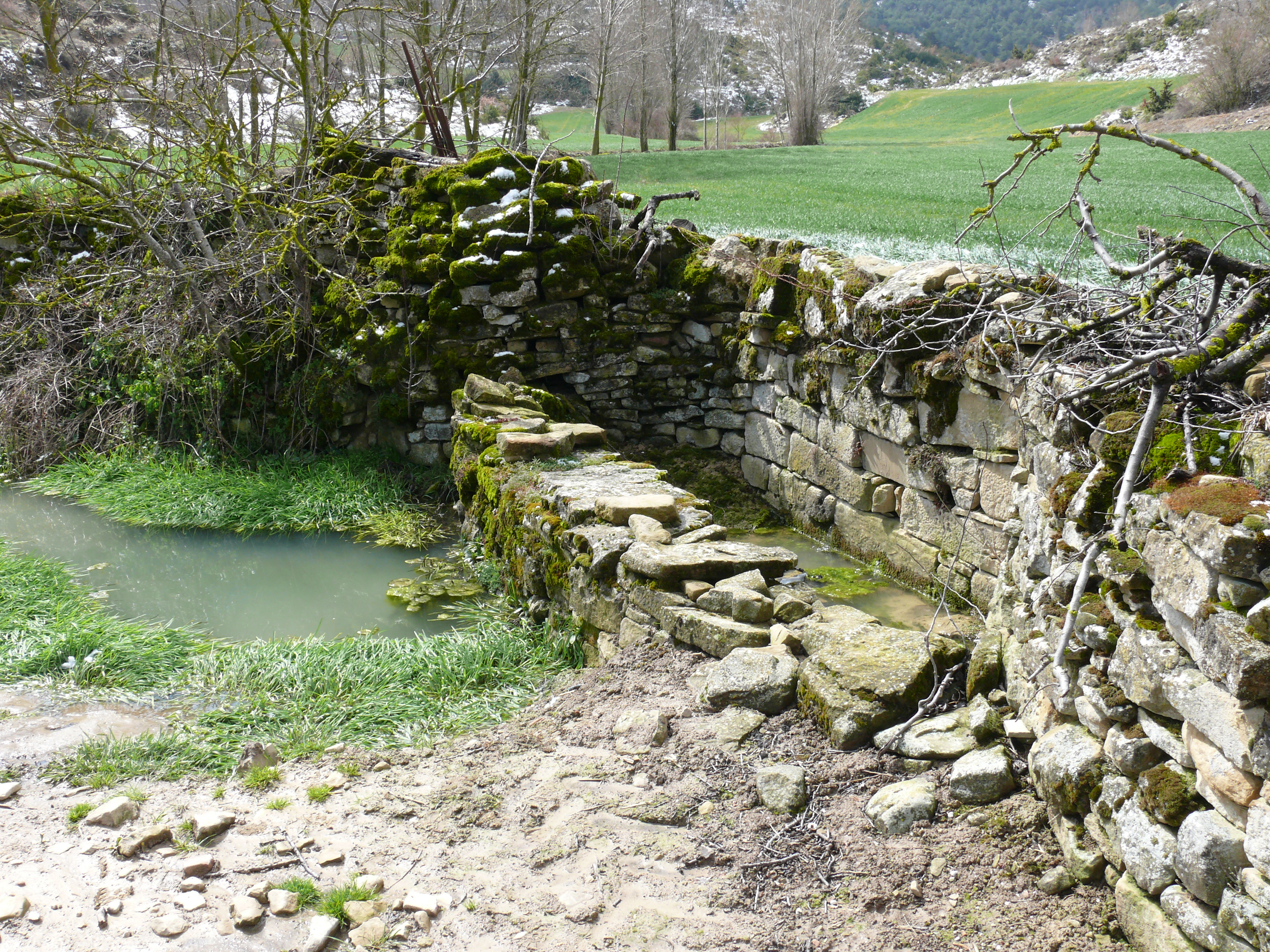 Abrevadero. (Imagen JAV)