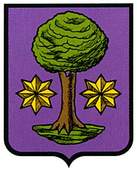 iraizoz-ulzama.escudo.jpg